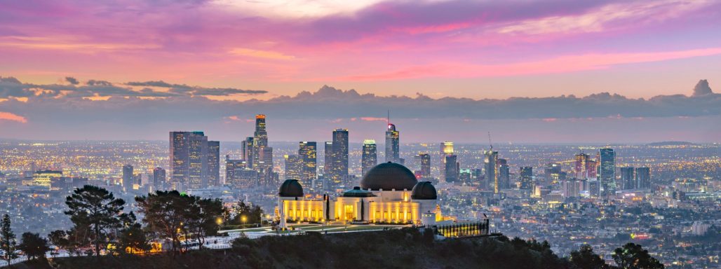 Los Angeles Skyline and Sightseeing Tours